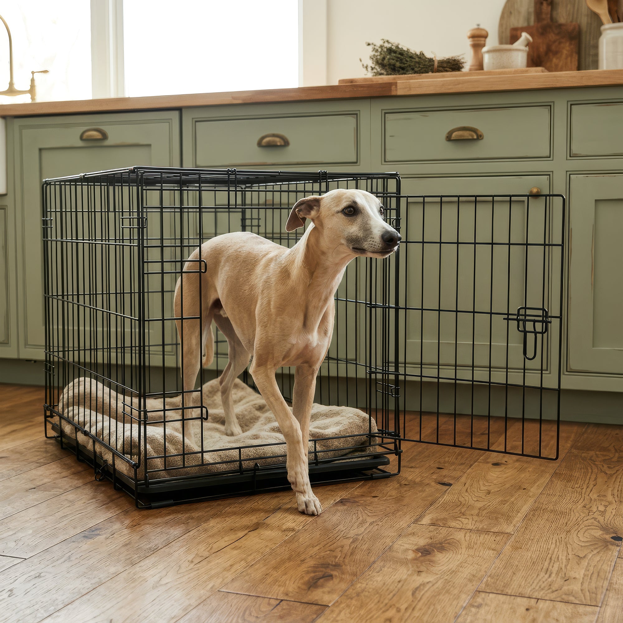 2 Door Metal Dog Crate with Removable Tray - Medium