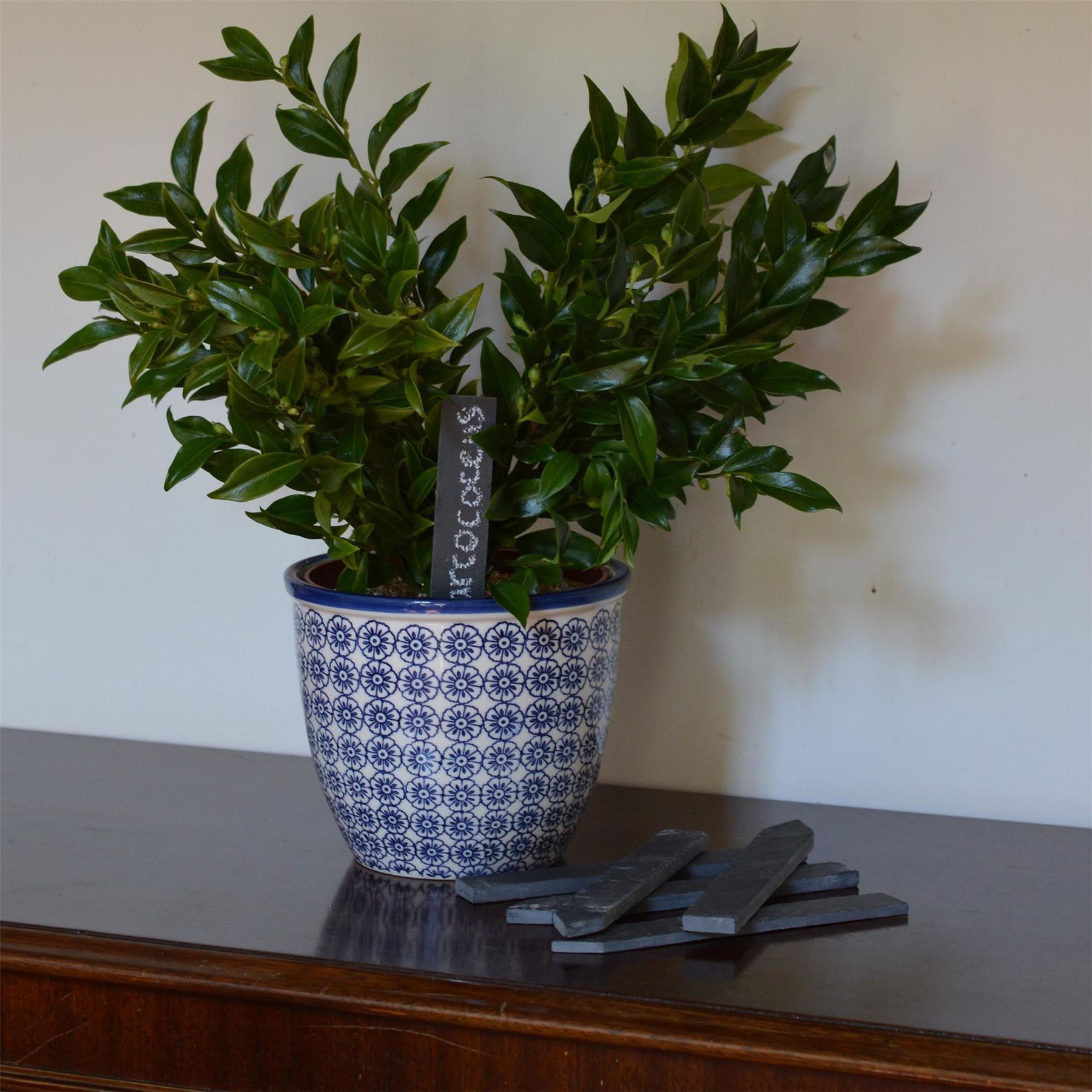 Rustic Plant Vegetable Seedling Peg Tags from Nicola Spring