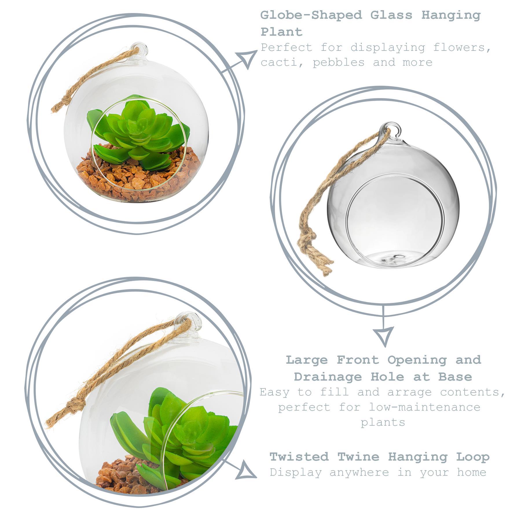 12cm Hanging Glass Succulent Terrarium