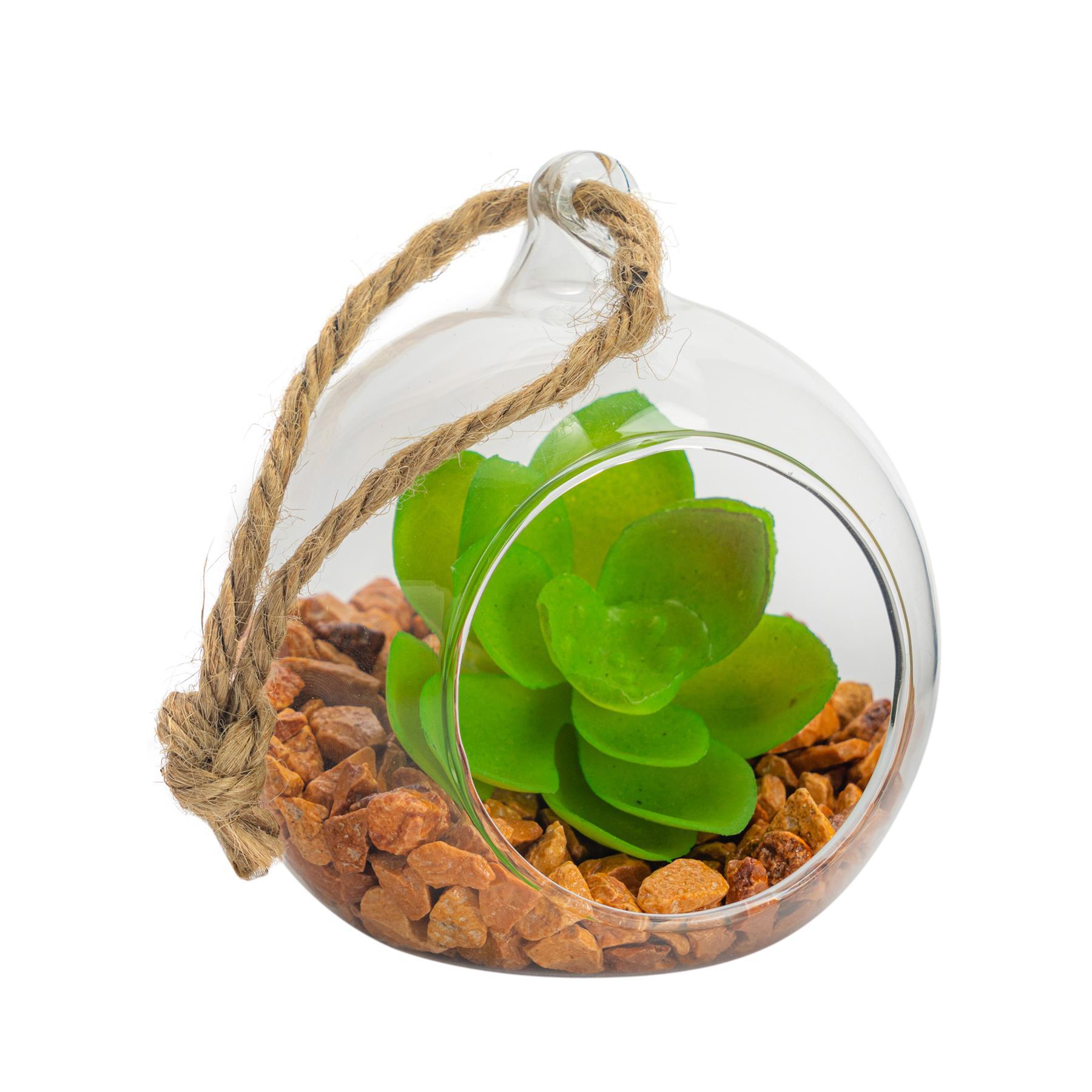 8cm Hanging Glass Succulent Terrarium