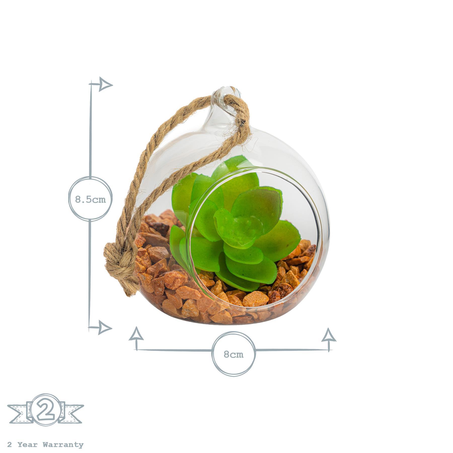 8cm Hanging Glass Succulent Terrarium