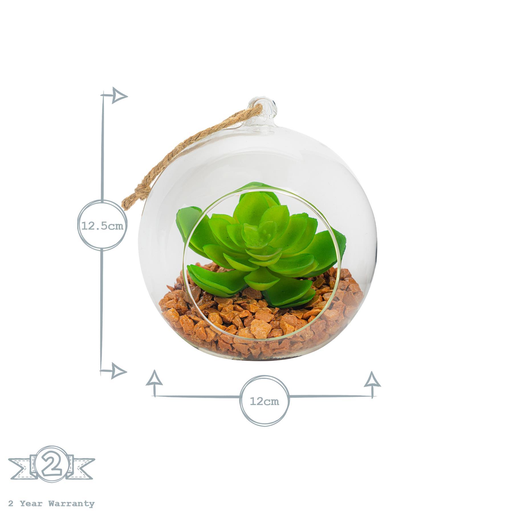 12cm Hanging Glass Succulent Terrarium