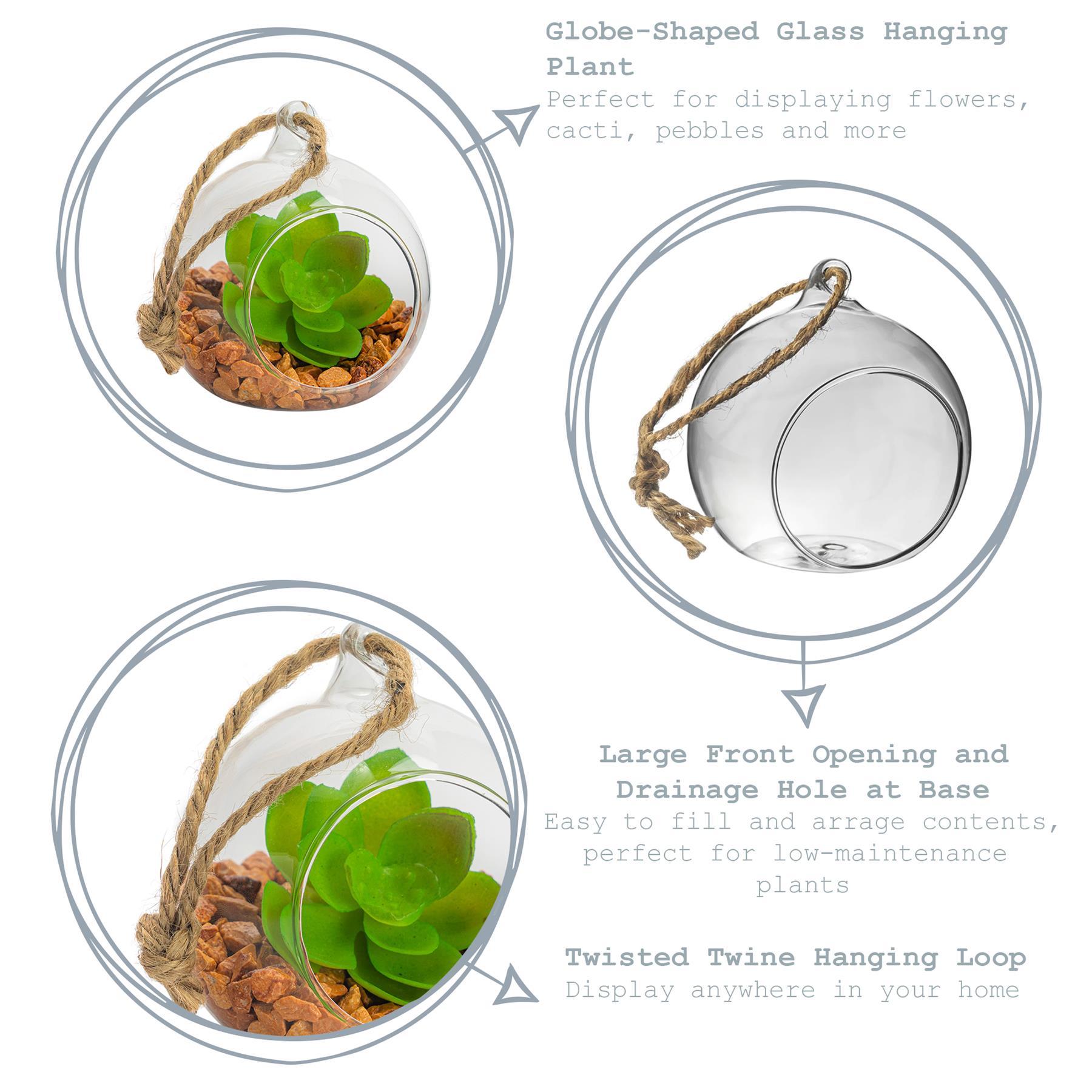 8cm Hanging Glass Succulent Terrarium