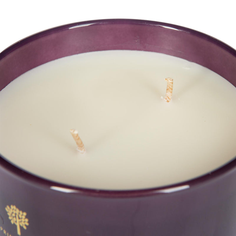 350g Double Wick Cinnamon Orange Soy Wax Scented Candle - By Nicola Spring