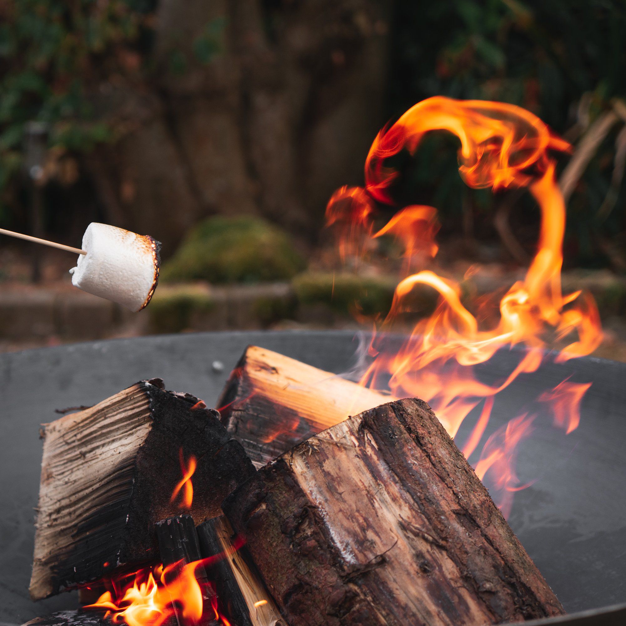 Large Cast Iron Fire Pit 75cm