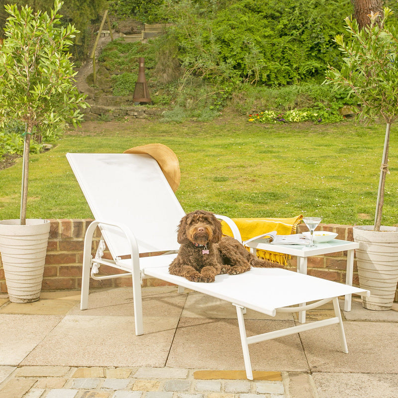 Sussex Adjustable Garden Sun Lounger Set - Pack of Two - By Harbour Housewares