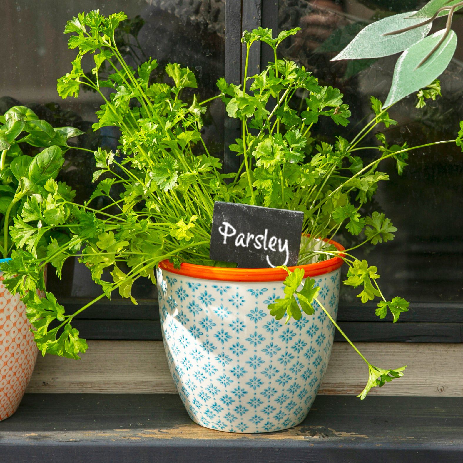 6pc Slate Plant Marker Labels Set with Chalk Pencils