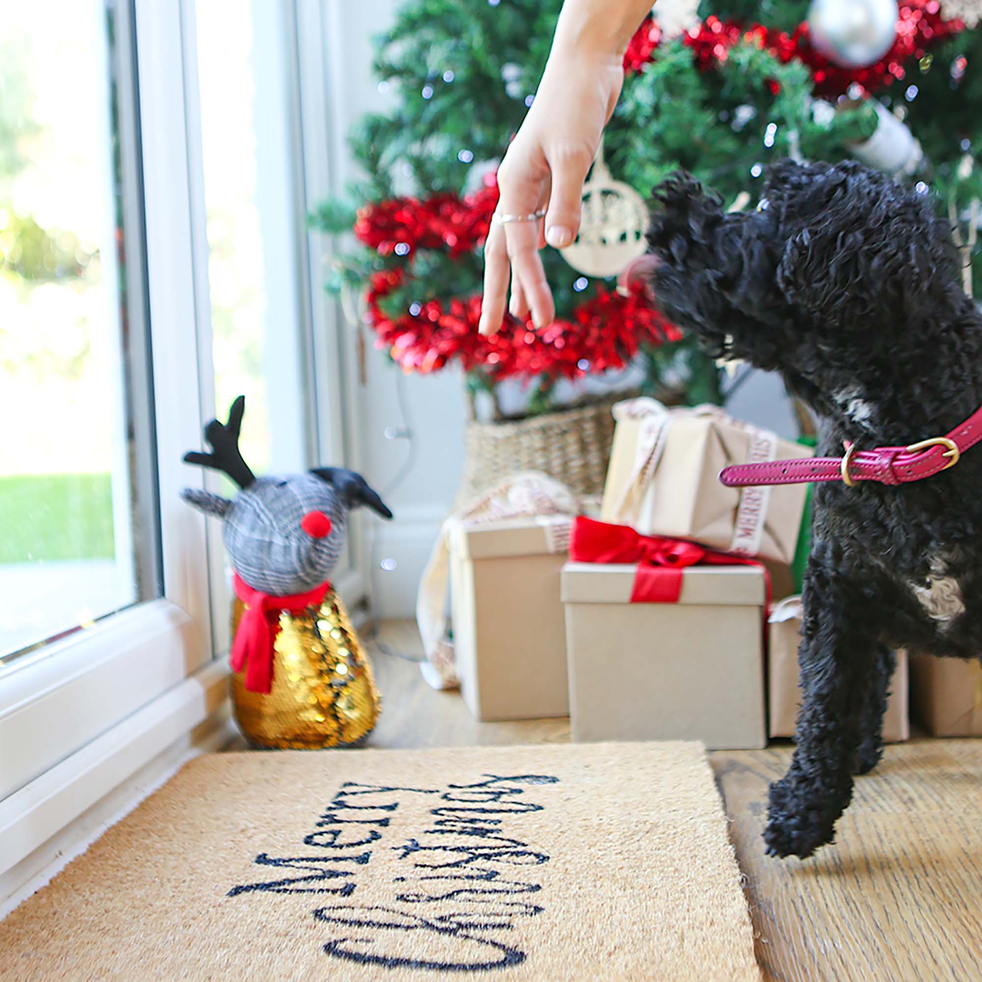 60cm x 40cm Merry Christmas Coir Door Mat