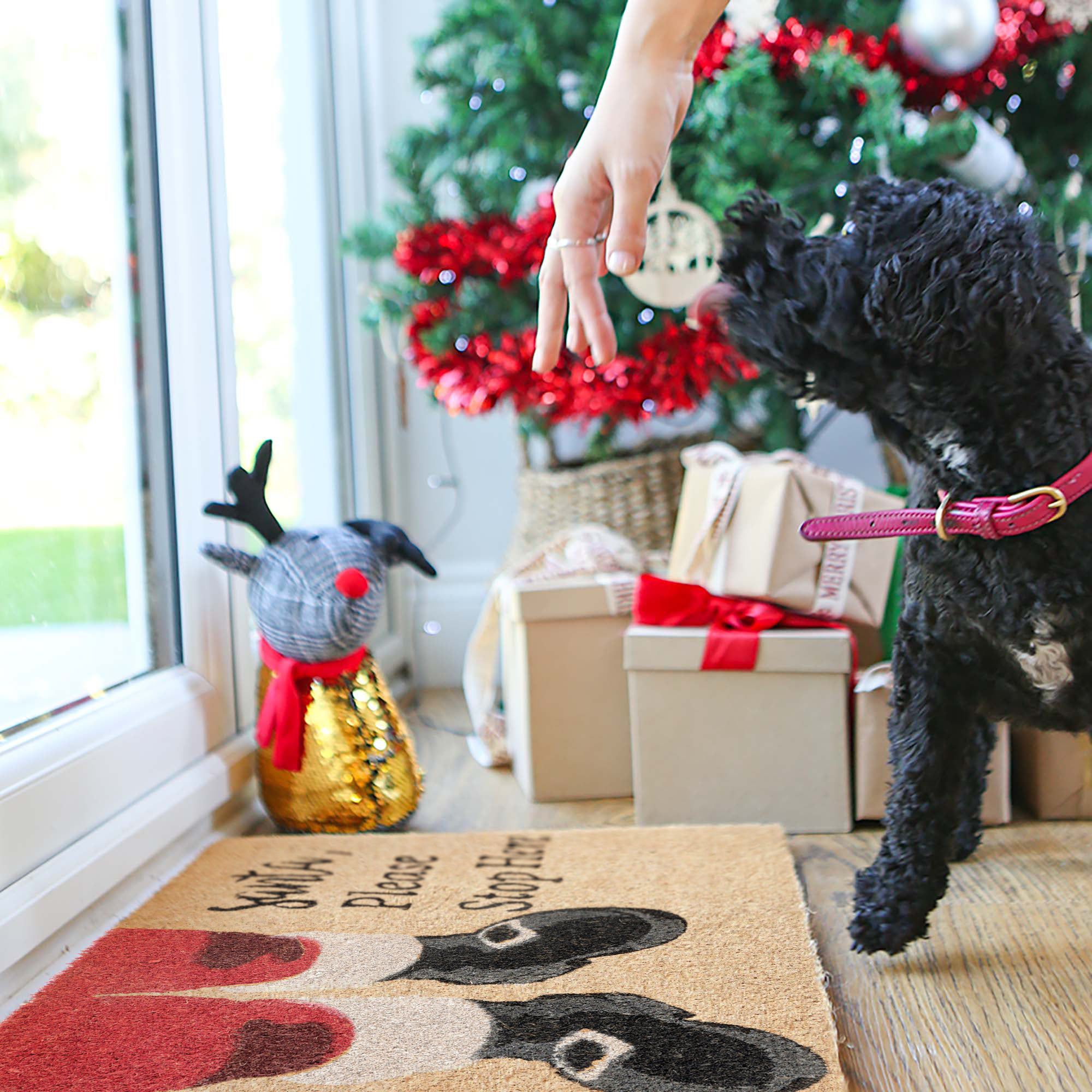 60cm x 40cm Santa Coir Door Mat