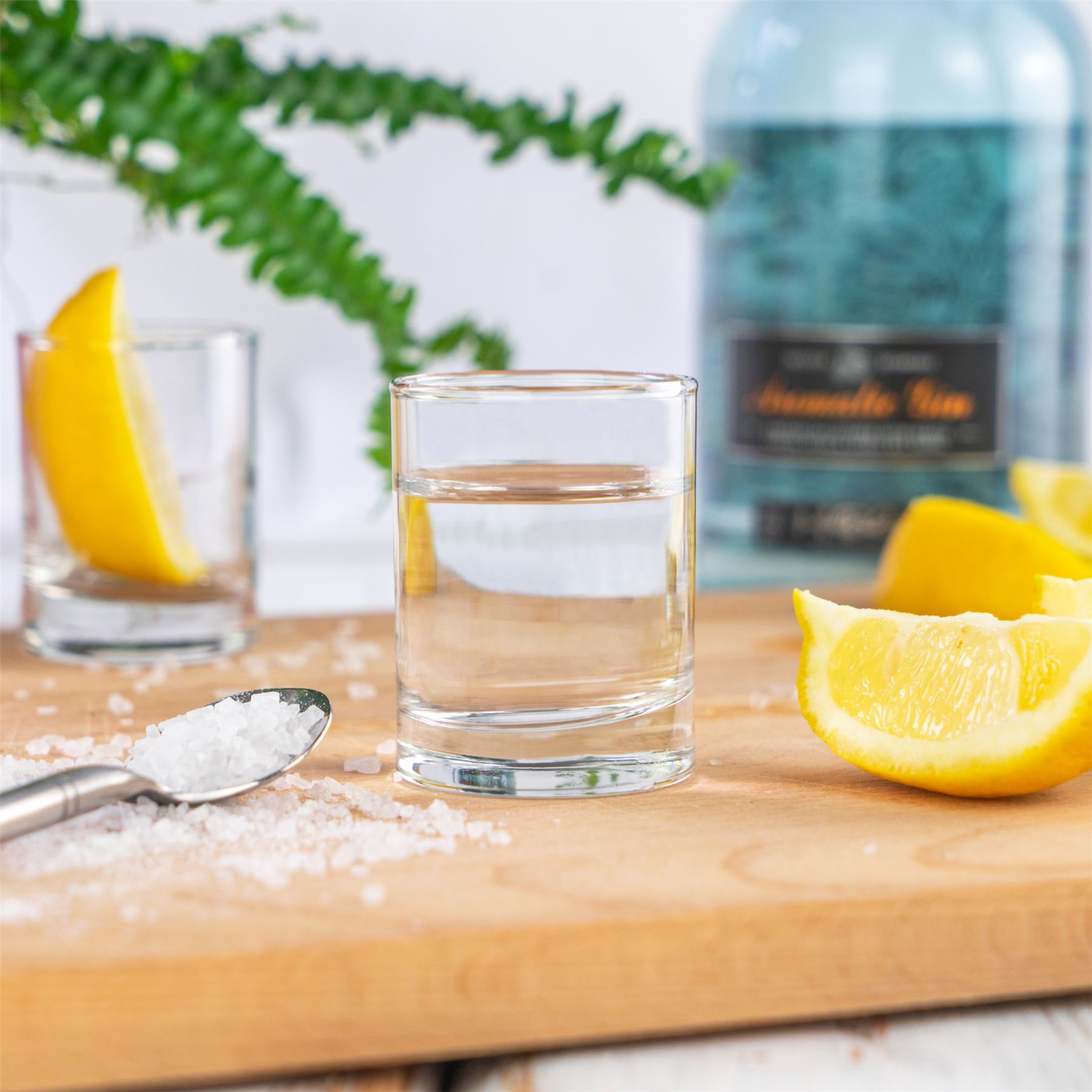 Rink Drink Shot/Espresso Glasses Dimensions