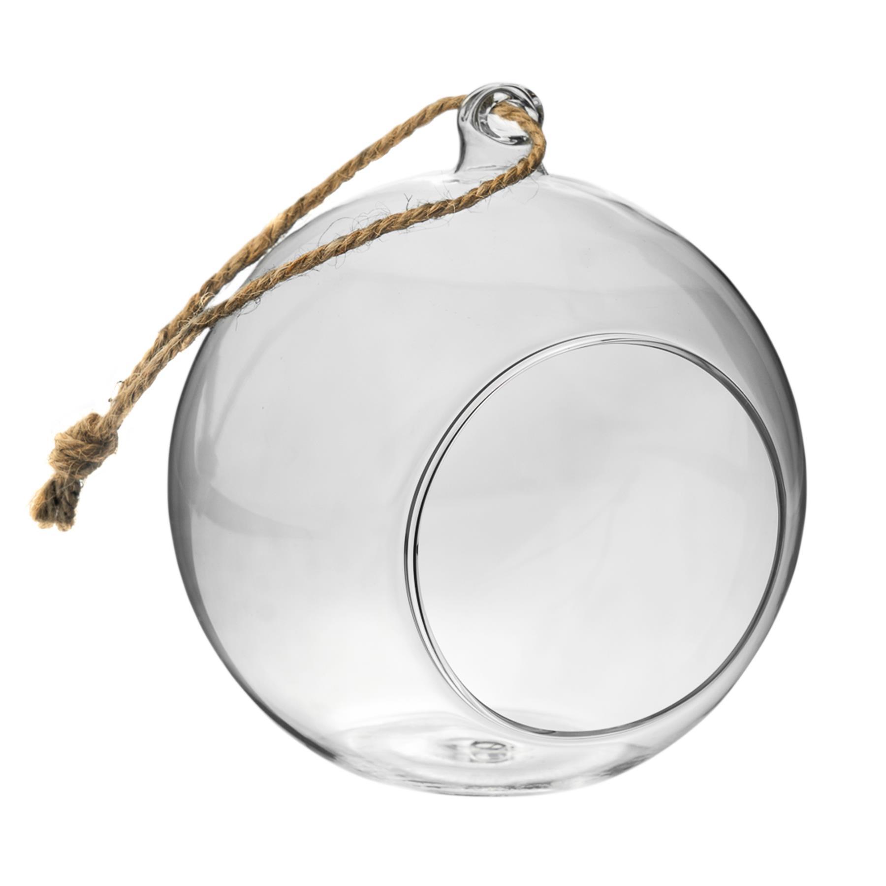 12cm Hanging Glass Succulent Terrarium