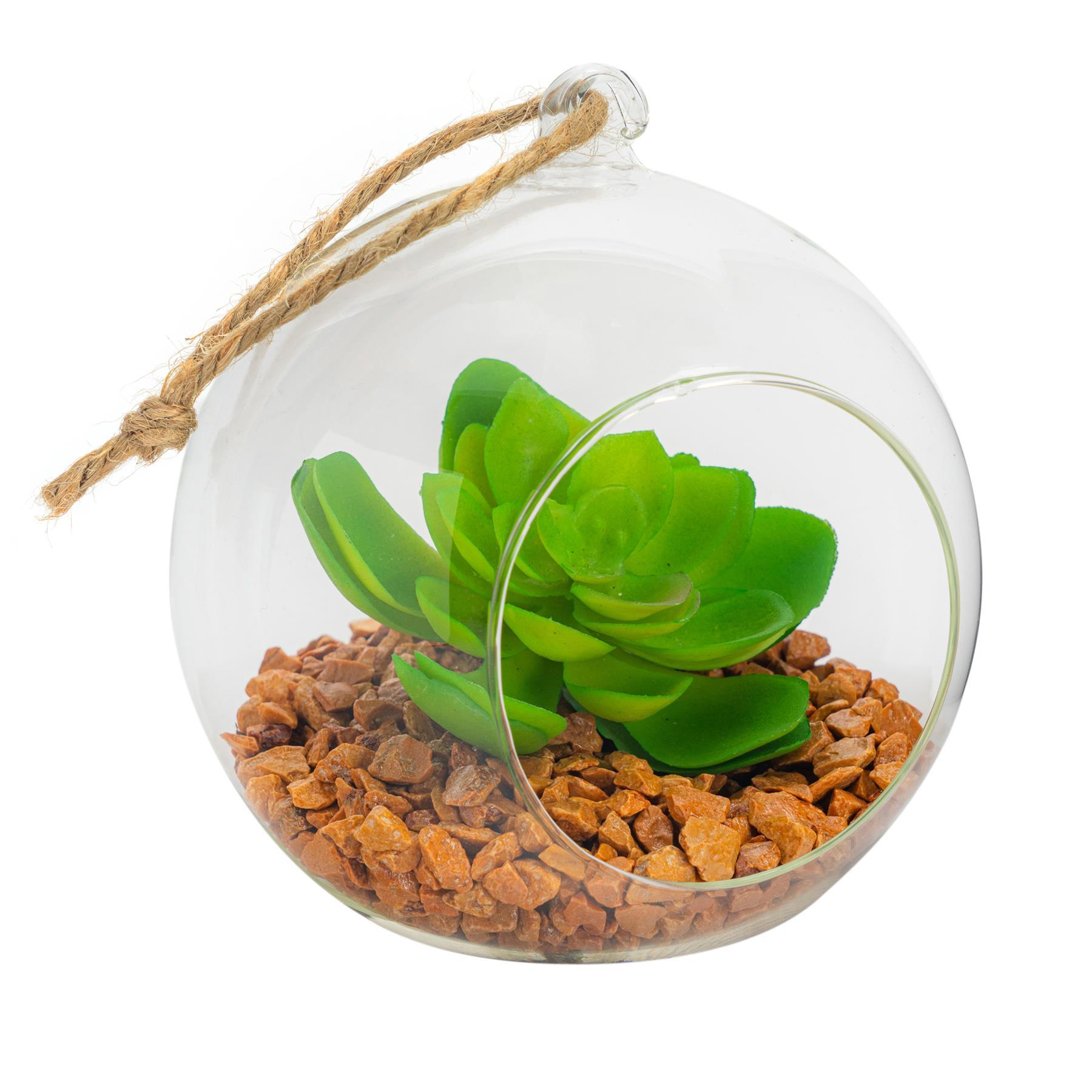 12cm Hanging Glass Succulent Terrarium