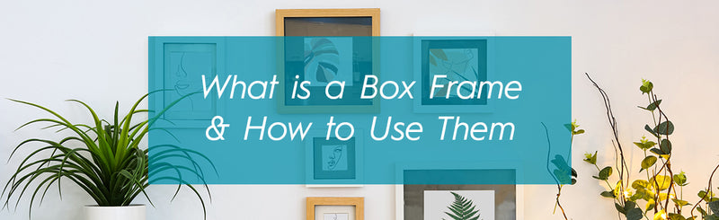 What is a Box Frame and How to Use Them?