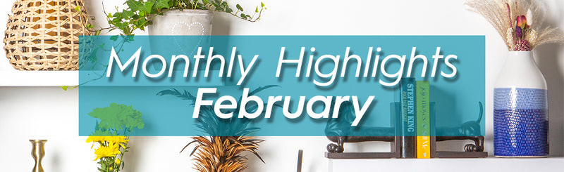 Our Monthly Highlights - February
