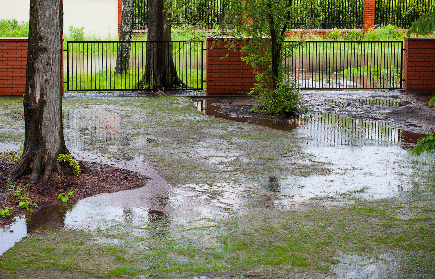 Wet Garden Rescue: Aerating Soil, Building Raised Beds, and Landscaping for Better Drainage