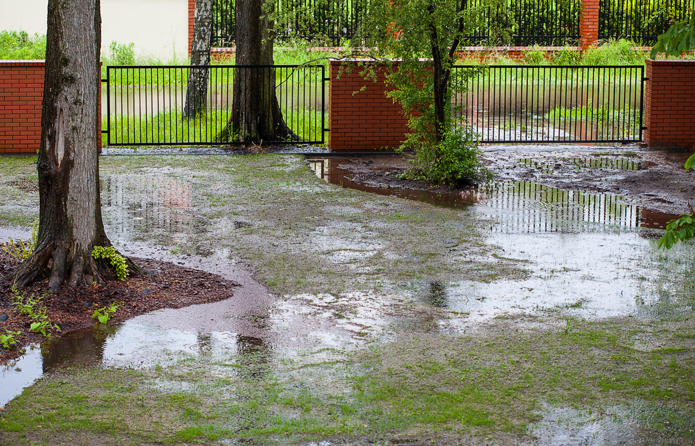 Wet Garden Rescue: Aerating Soil, Building Raised Beds, and Landscaping for Better Drainage