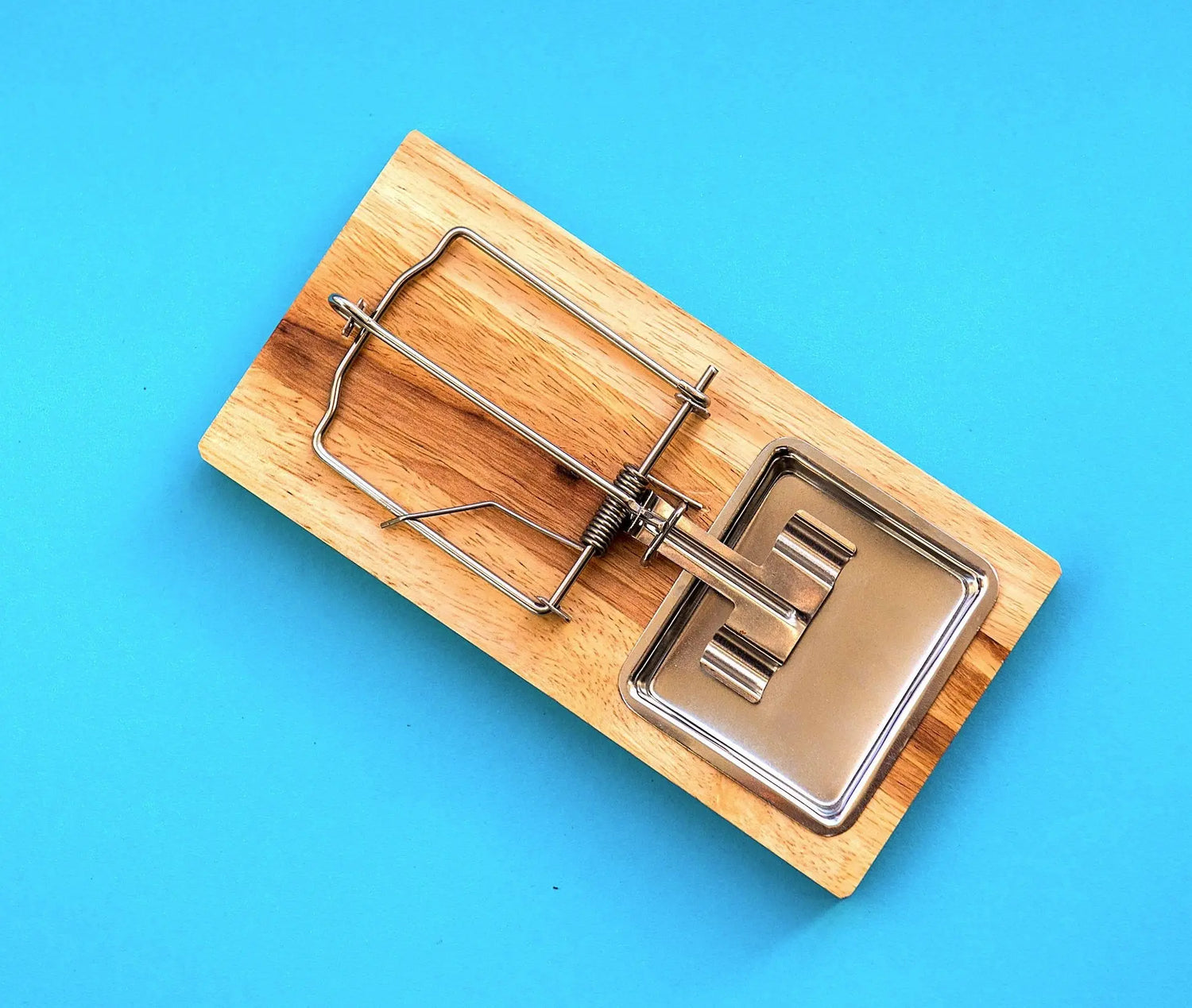 Pesticides at Rinkit.com