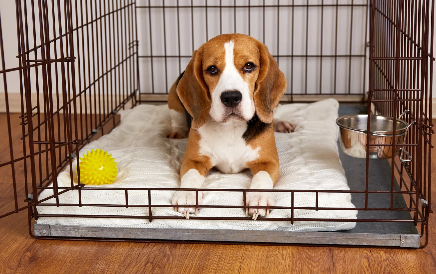 Absorbent Pads at Rinkit.com