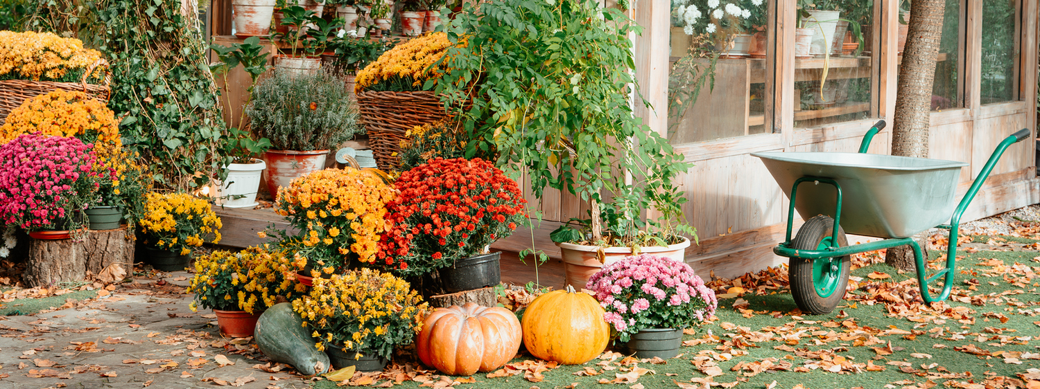 GARDENING at Rinkit.com