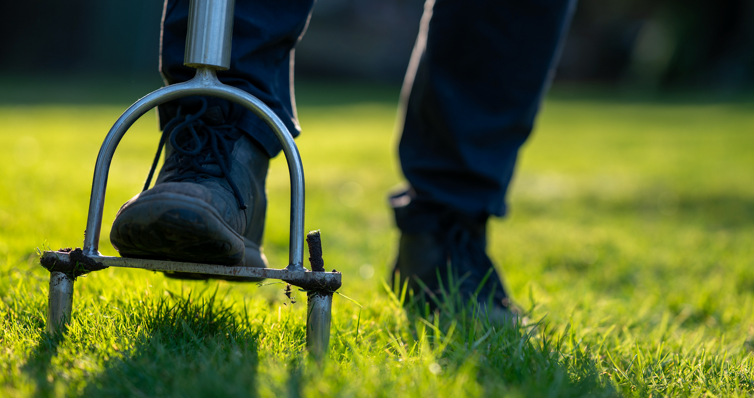Lawn Aerators