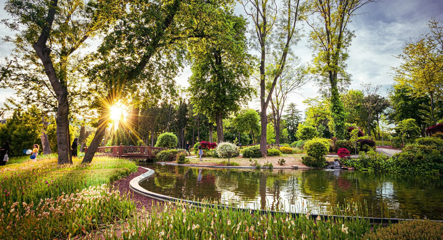 GARDEN &amp; DIY at Rinkit.com