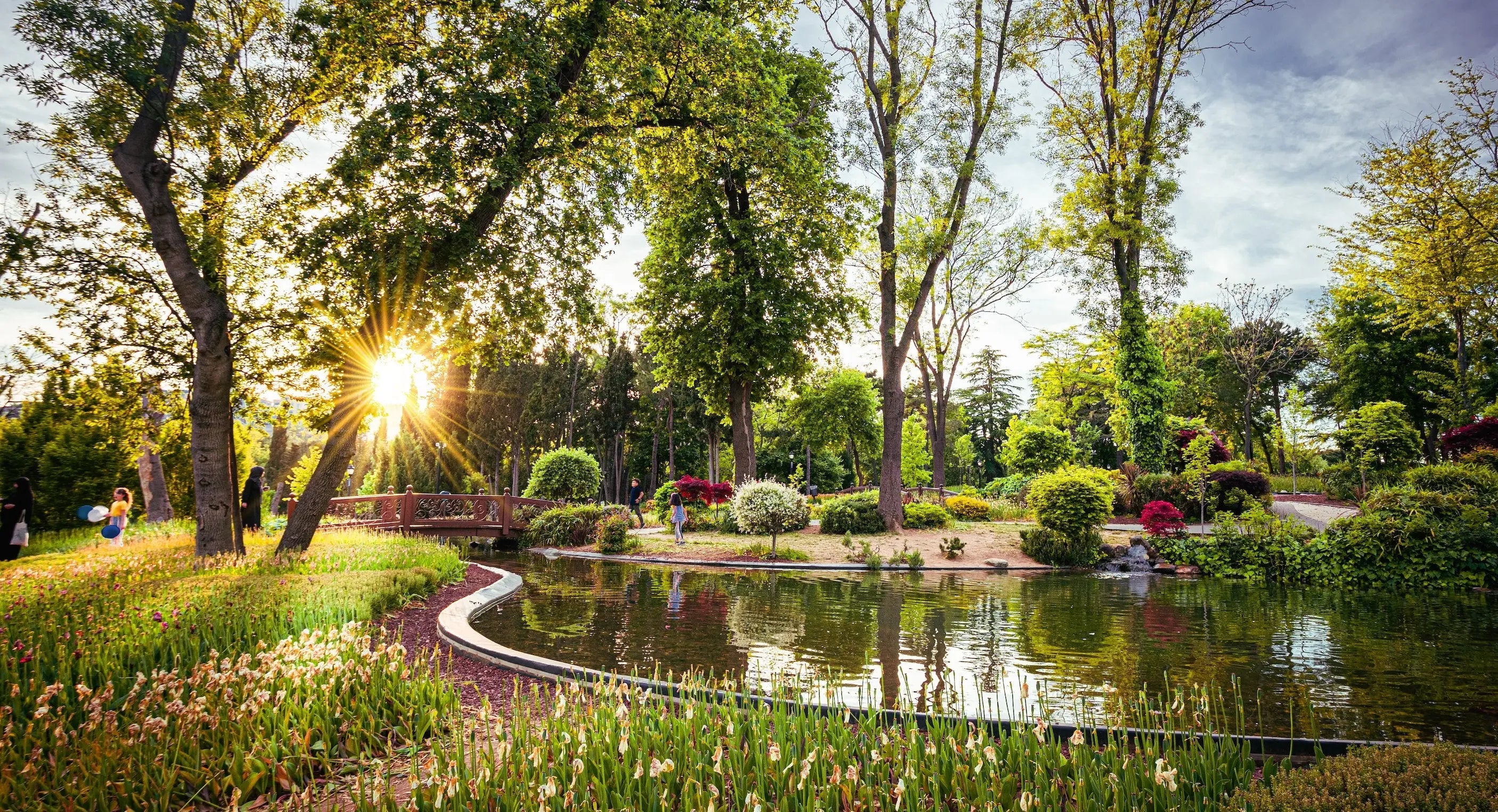 GARDEN & DIY at Rinkit.com