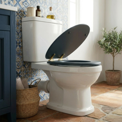 Wooden Soft Close Toilet Seat - Blue/Gold