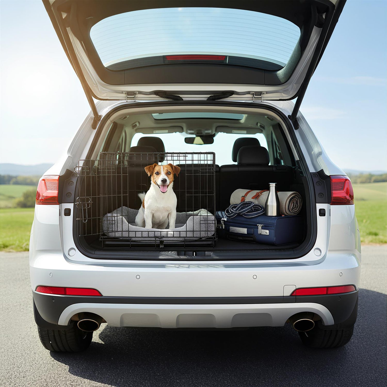 2 Door Metal Dog Crate with Removable Tray - Small