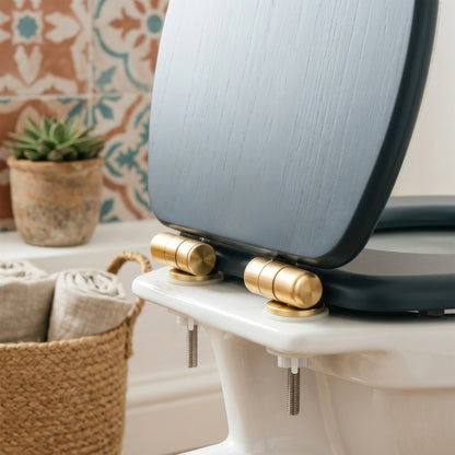 Wooden Soft Close Toilet Seat - Blue/Gold