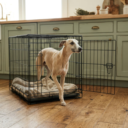 2 Door Metal Dog Crate with Removable Tray - Medium