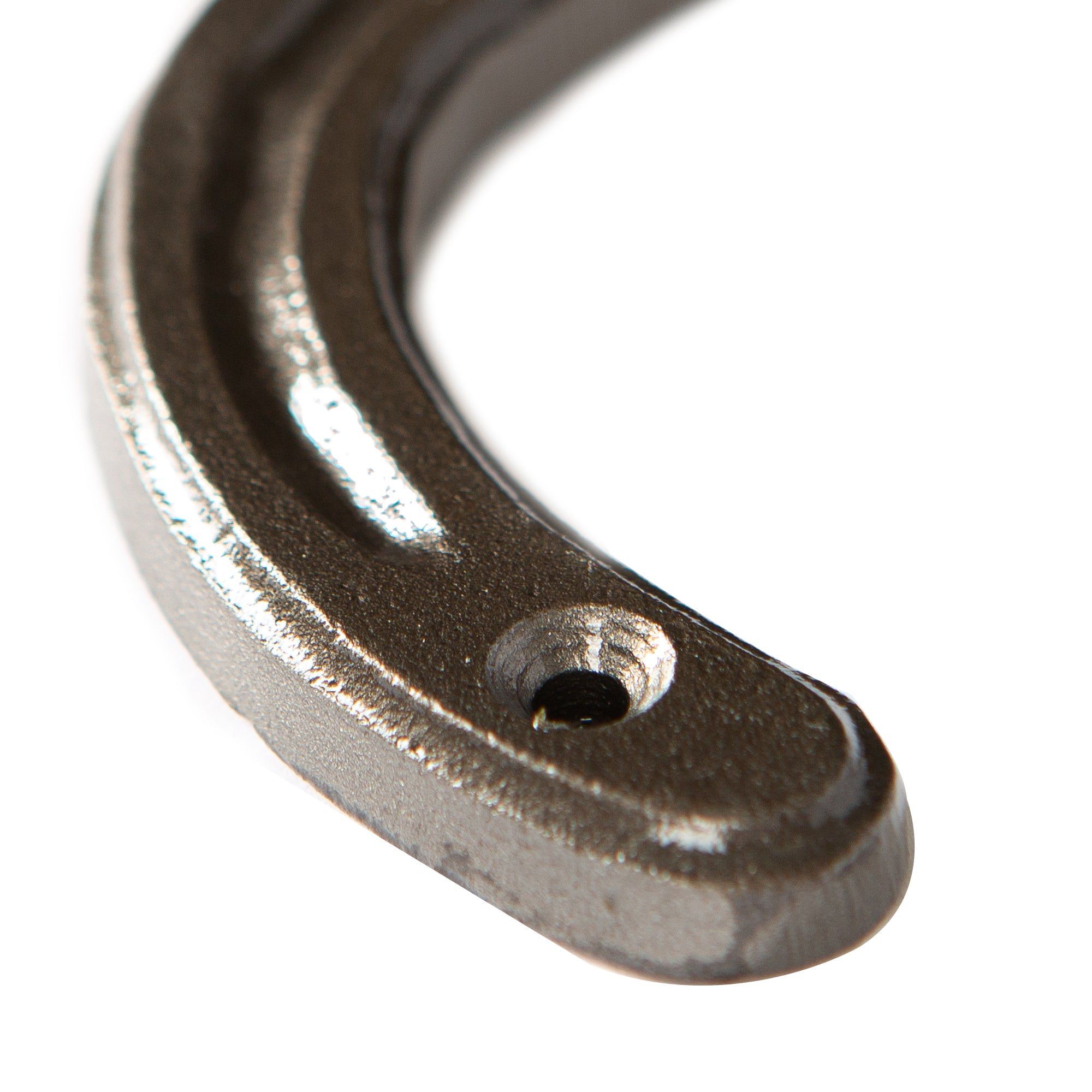 100mm x 110mm Raw Horse Shoe Double Coat Hook