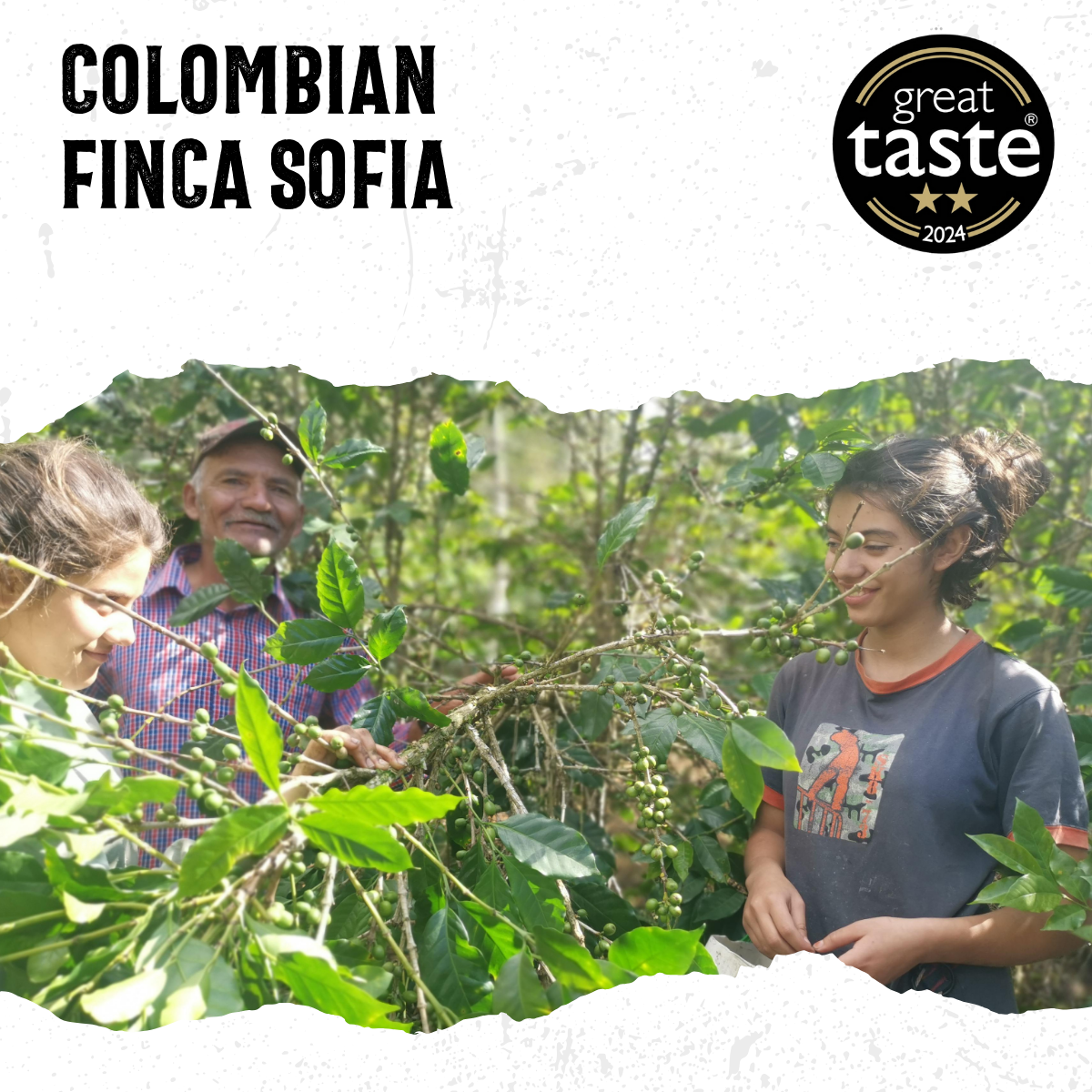 Colombia Finca Sofia