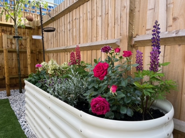Ivory 180cm x 90cm Rounded Steel Raised Garden Bed