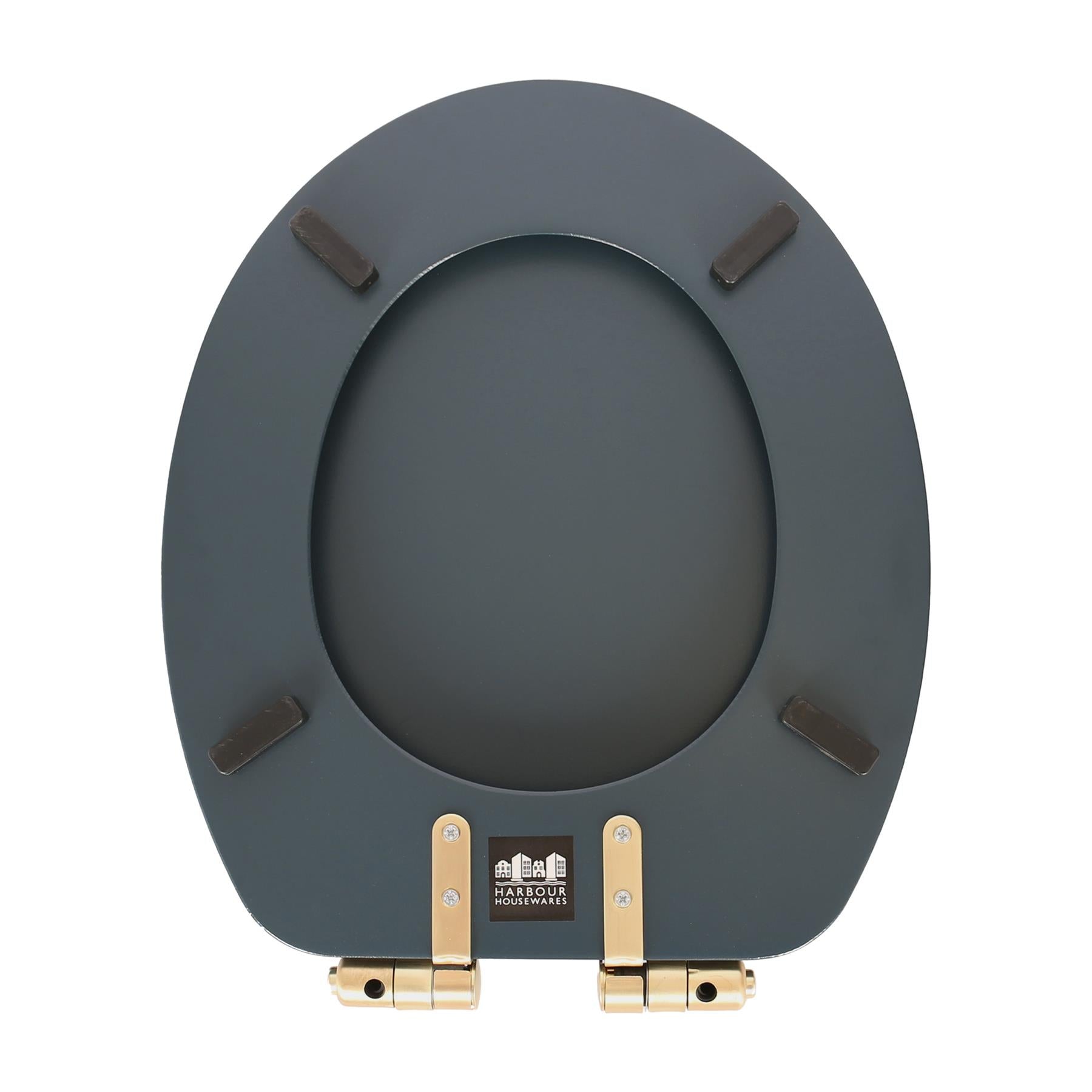 Wooden Soft Close Toilet Seat - Blue/Gold