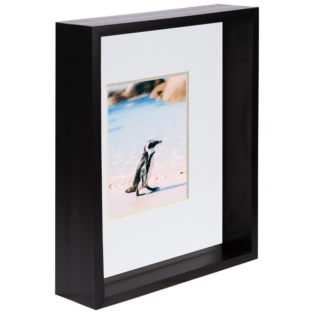 Black 8" x 10" Deep Shadow Box Photo Frame with 4" x 6" White Mount