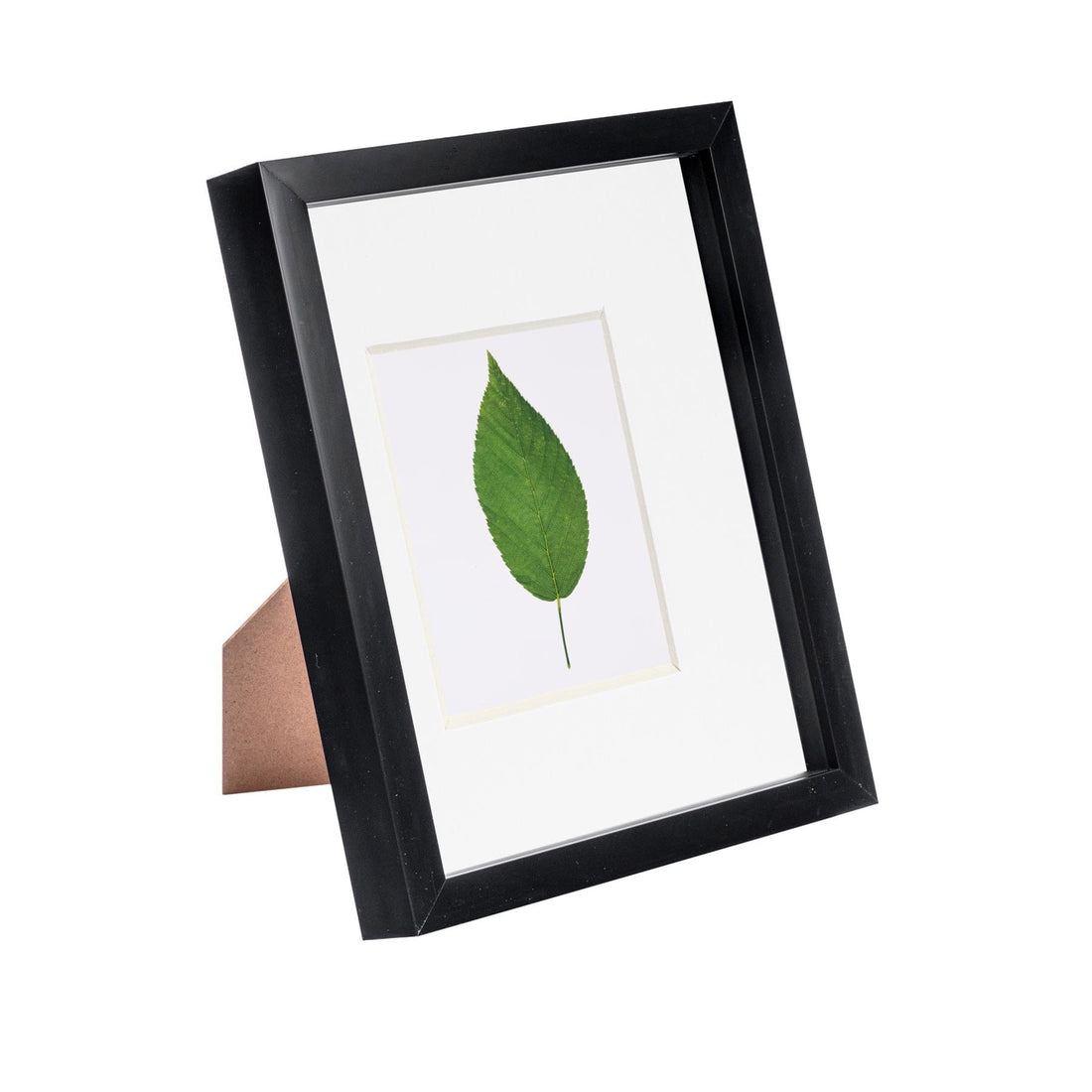Black 8" x 10" Shadow Box Photo Frame with 4" x 6" White Mount