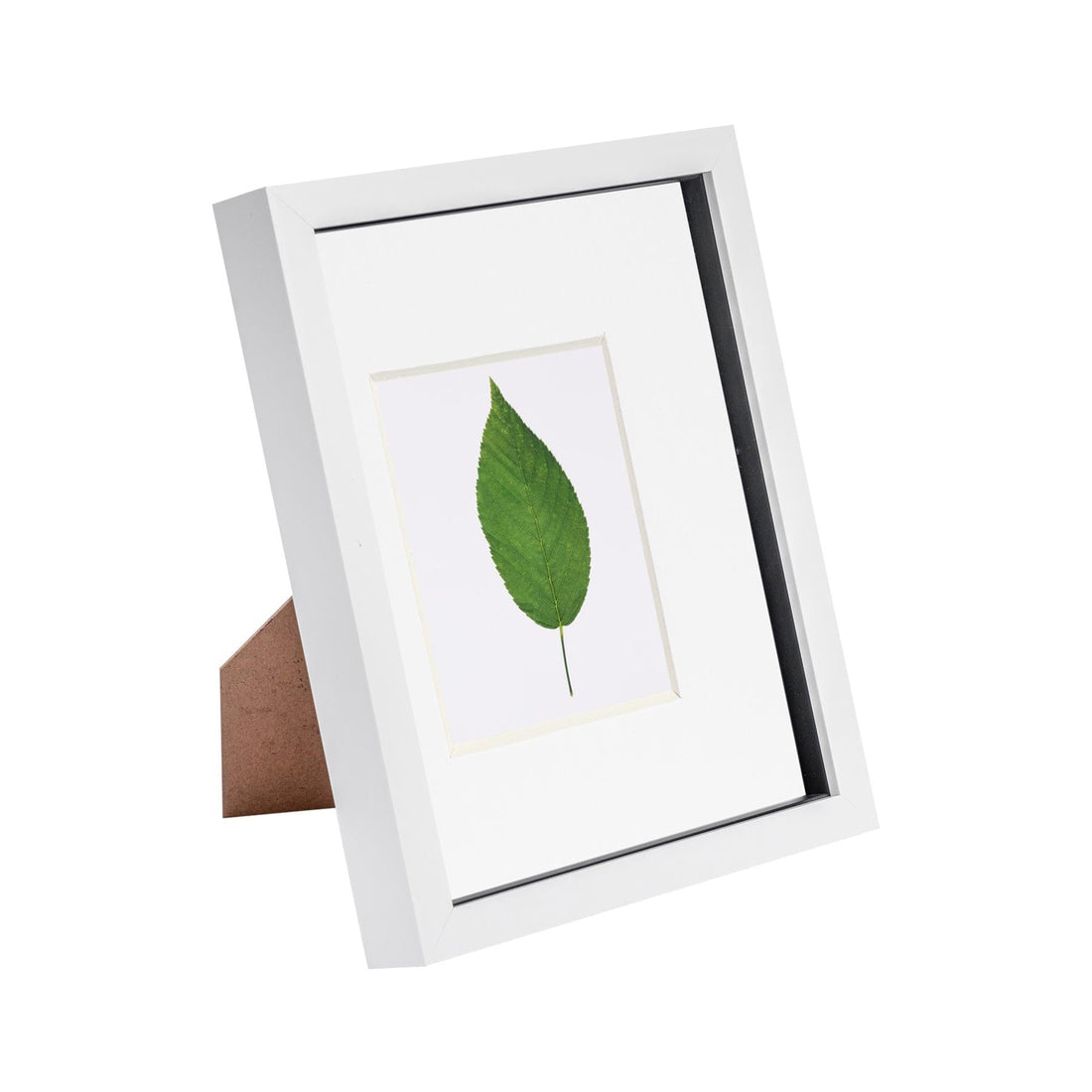 White 8" x 10" Shadow Box Photo Frame with 4" x 6" White Mount