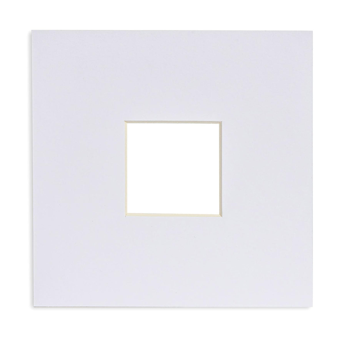 2" x 2" Picture Mount 6" x 6" Frame