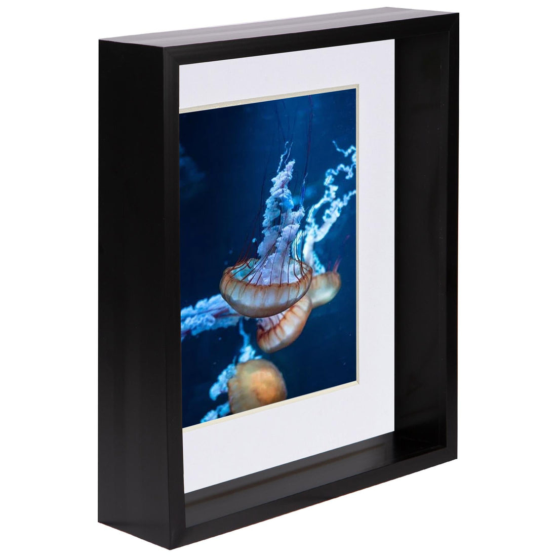 Black 8" x 10" Deep Shadow Box Photo Frame with 5" x 7" White Mount