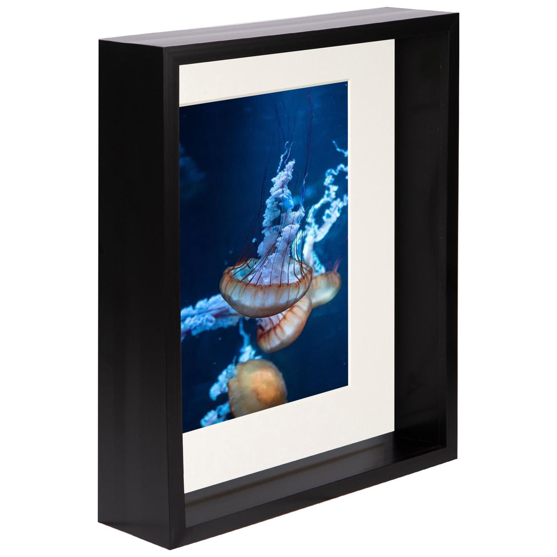 Black 8" x 10" Deep Shadow Box Photo Frame with 5" x 7" Ivory Mount
