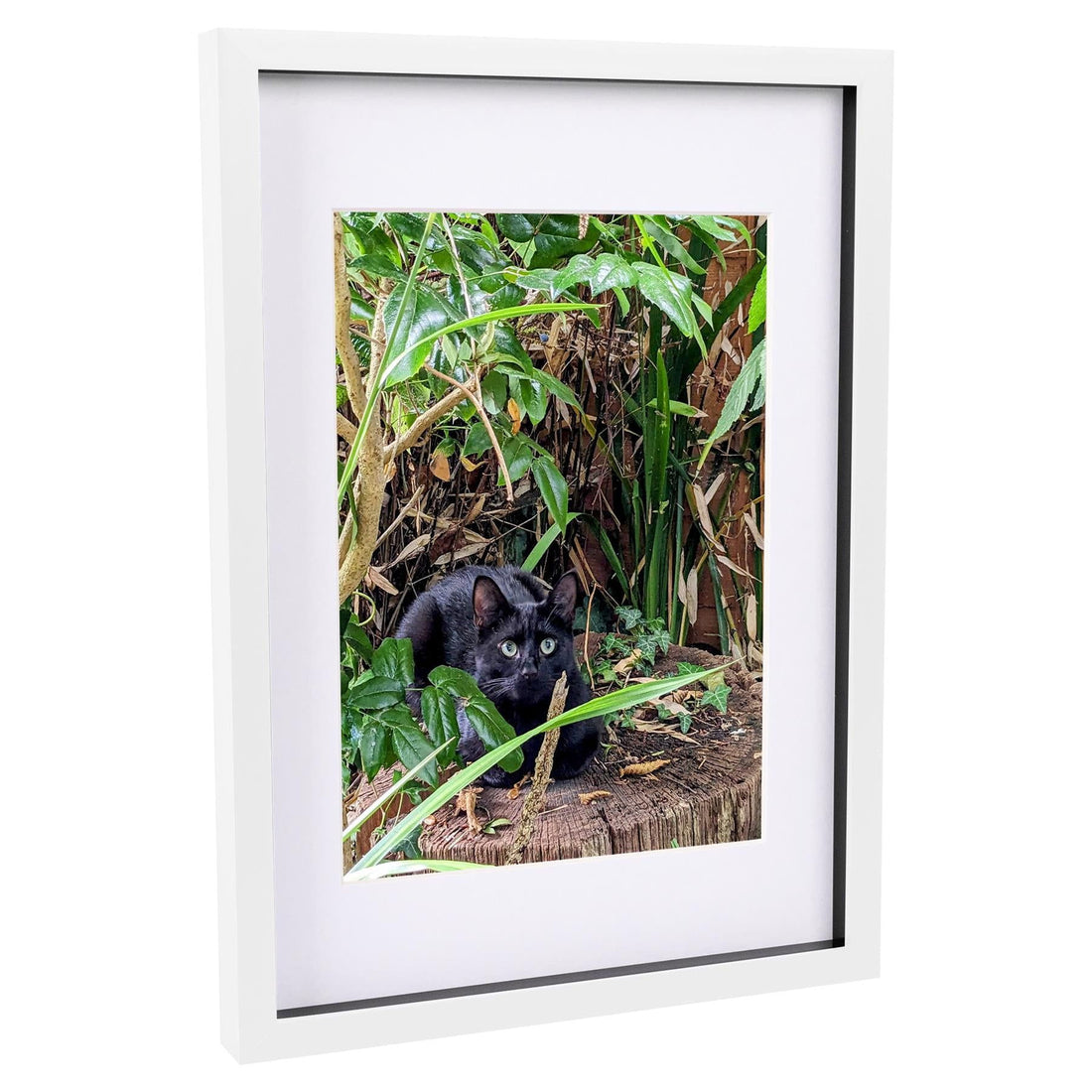 White A3 (12" x 17") Shadow Box Photo Frame with A4 Mount