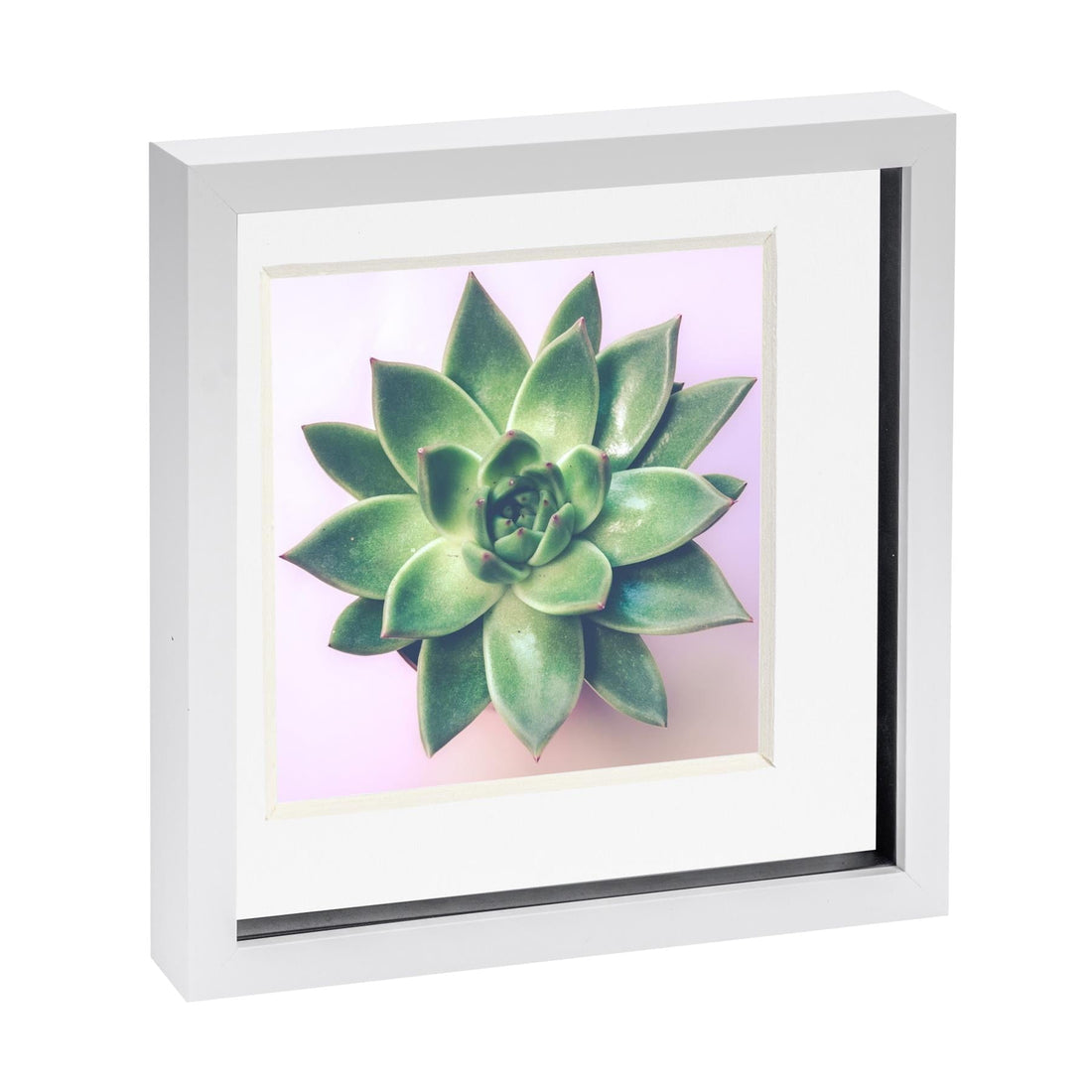 White 10" x 10" Shadow Box Photo Frame with 8" x 8" White Mount