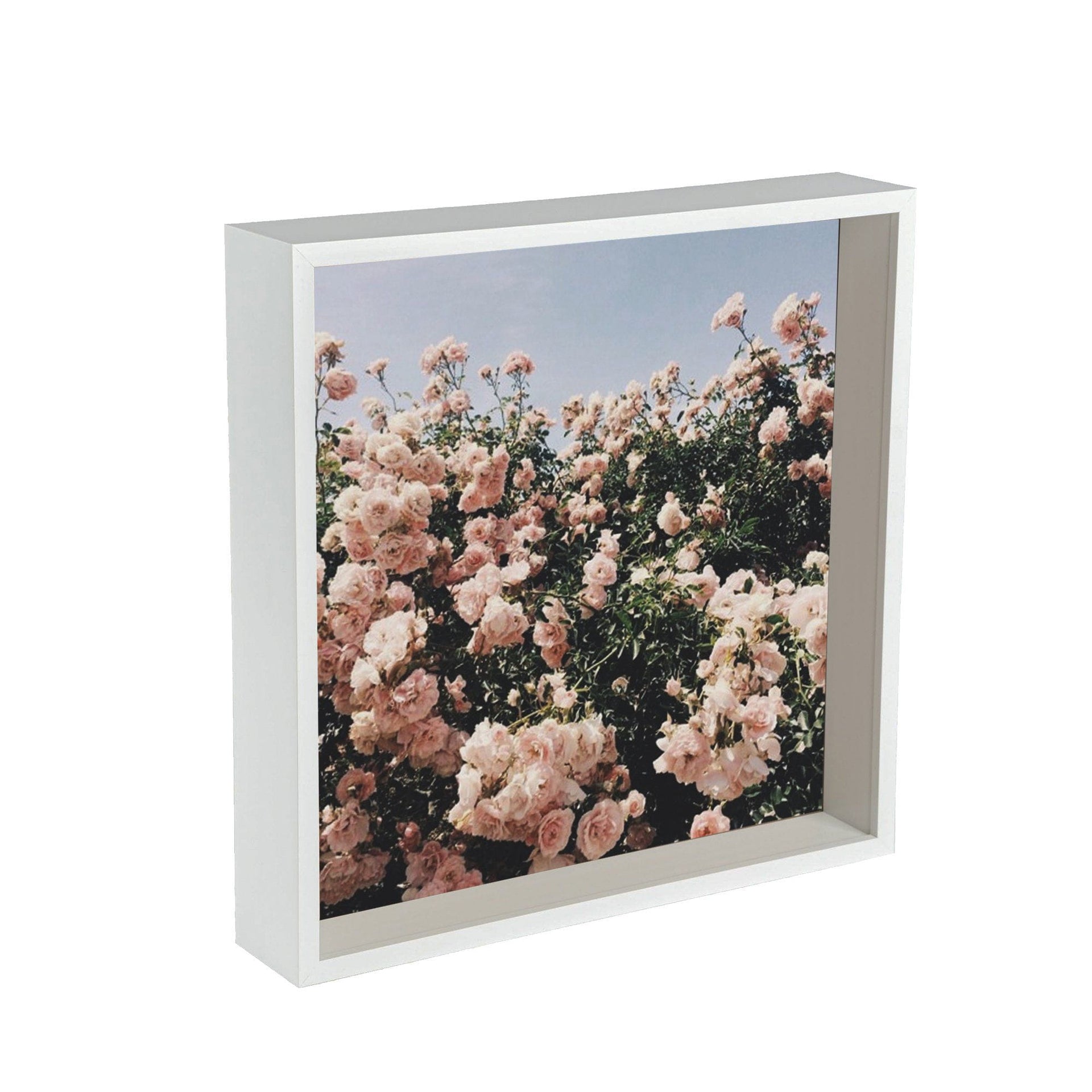 12" x 12" 3D Deep Box Photo Frame