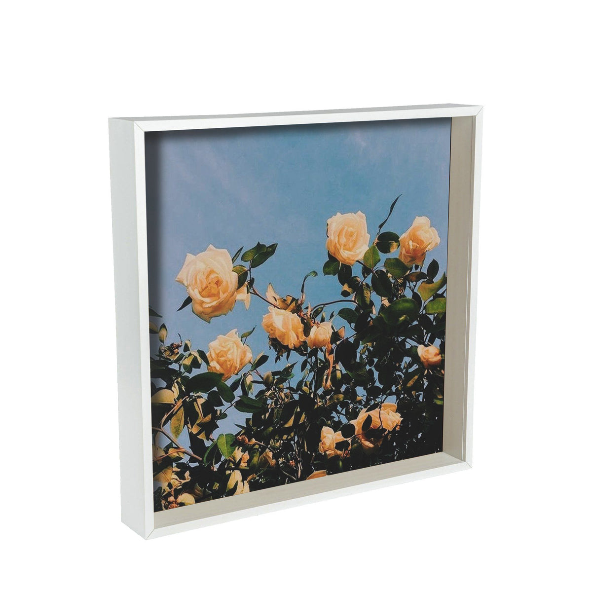 16" x 16" 3D Deep Box Photo Frame