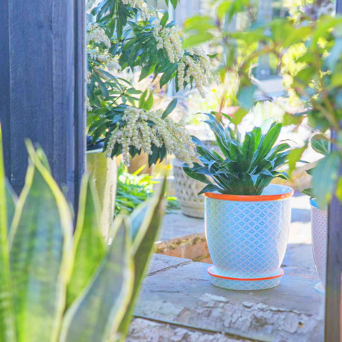 20cm Hand Printed Navy Stoneware Plant Pot with Saucer