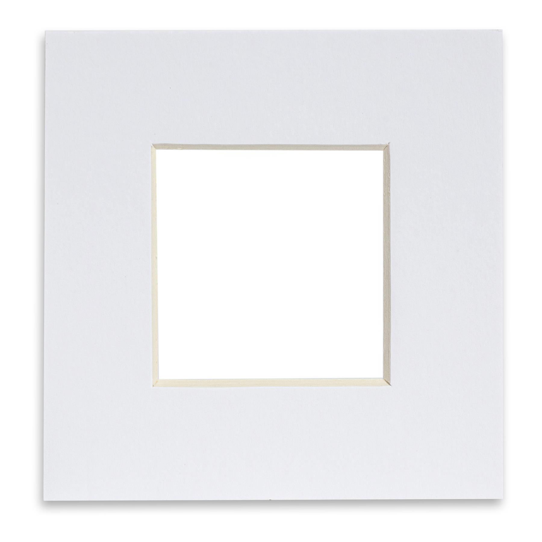 6" x 6" Picture Mount 10" x 10" Frame